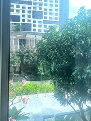 The Vision (D5), Condominium #466474821
